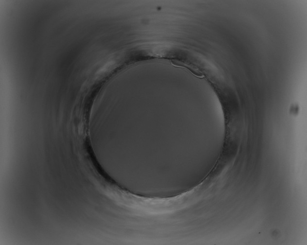 X0000102340031200808081142