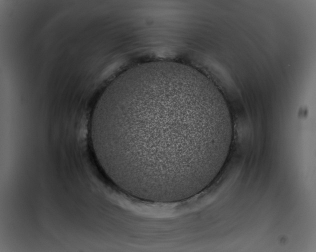 X0000102340032200808081142