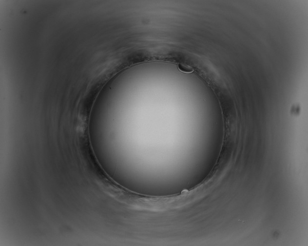 X0000102340033200808081141