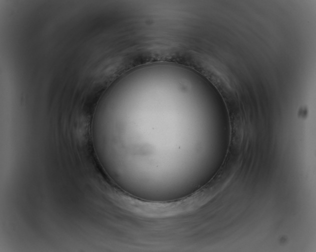 X0000102340034200808081141