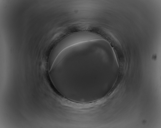 X0000102340035200808081141