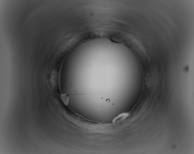 X0000102340036200808081141