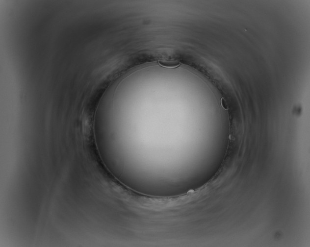 X0000102340037200808081141