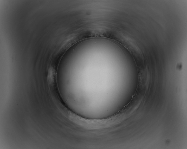 X0000102340038200808081141