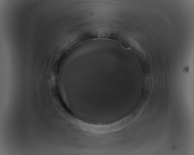 X0000102340039200808081141