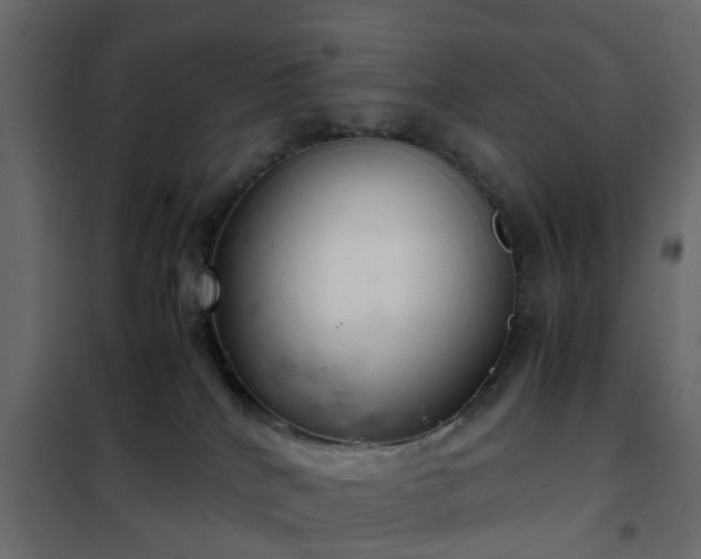 X0000102340040200808081141