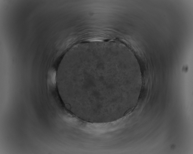 X0000102340041200808081141