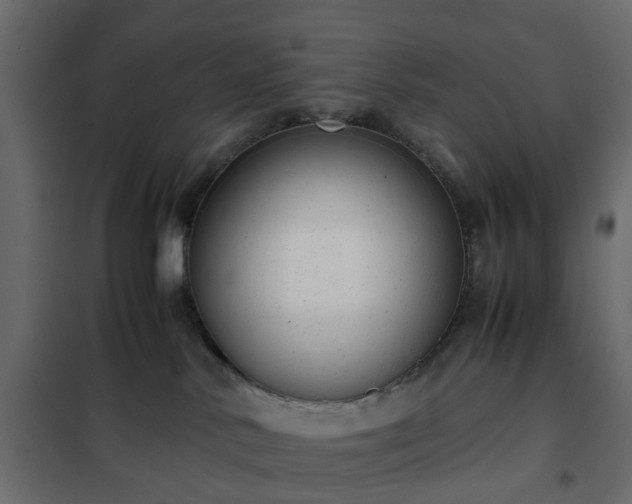 X0000102340042200808081141