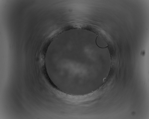 X0000102340043200808081141