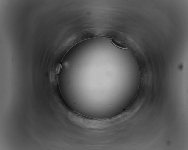 X0000102340044200808081141