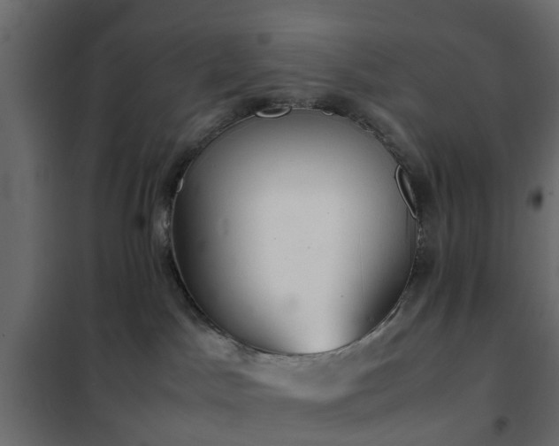 X0000102340045200808081141