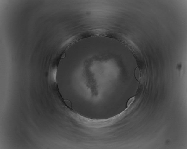 X0000102340047200808081141