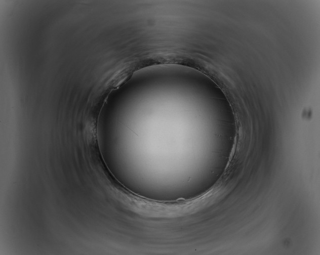 X0000102340048200808081141