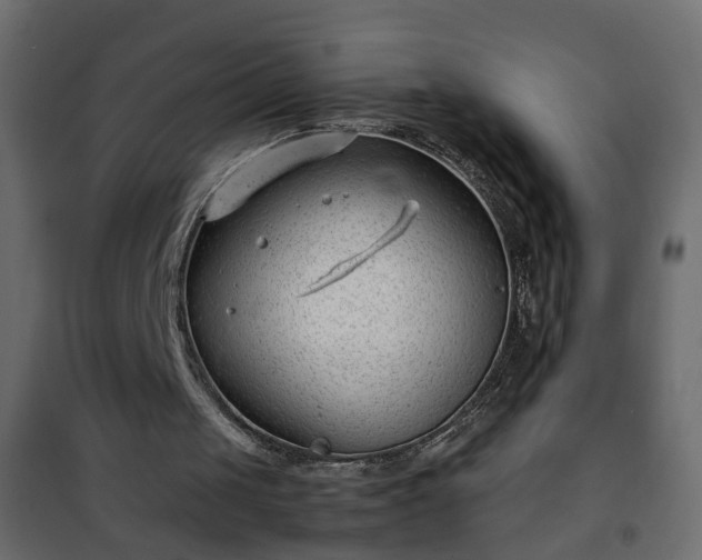 X0000102340049200808081140