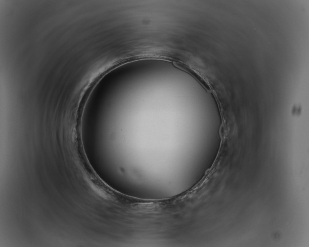 X0000102340050200808081140