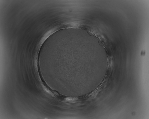 X0000102340051200808081140