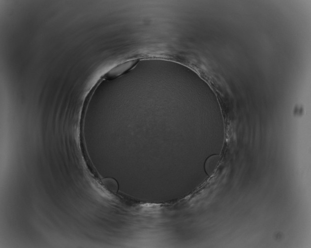 X0000102340052200808081140