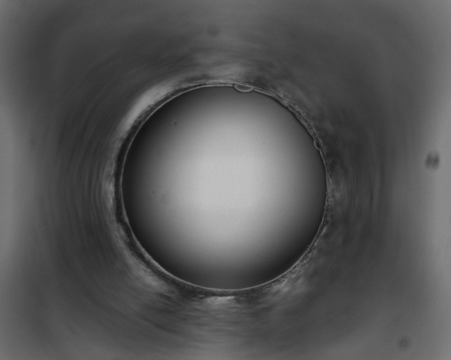 X0000102340054200808081141