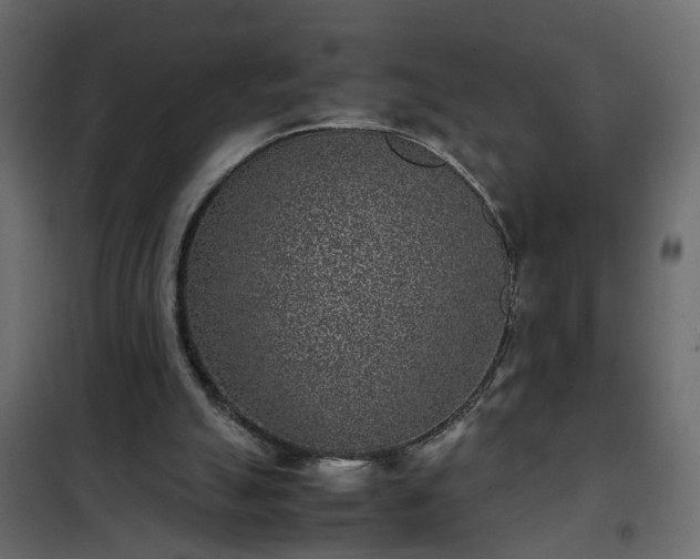 X0000102340055200808081141