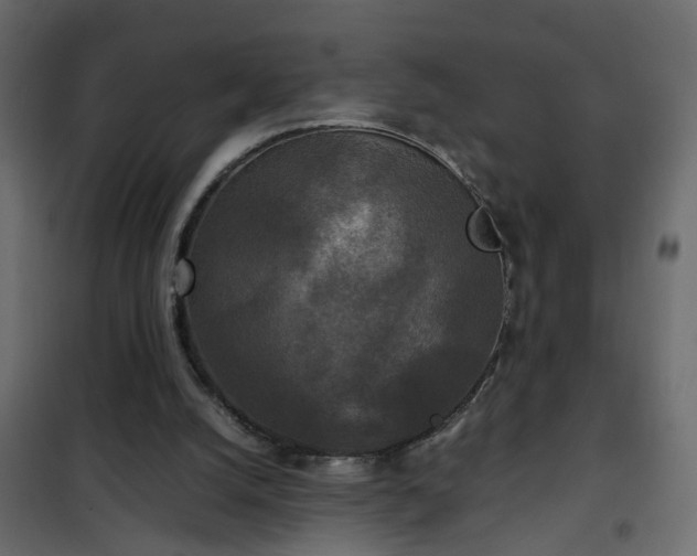 X0000102340056200808081141