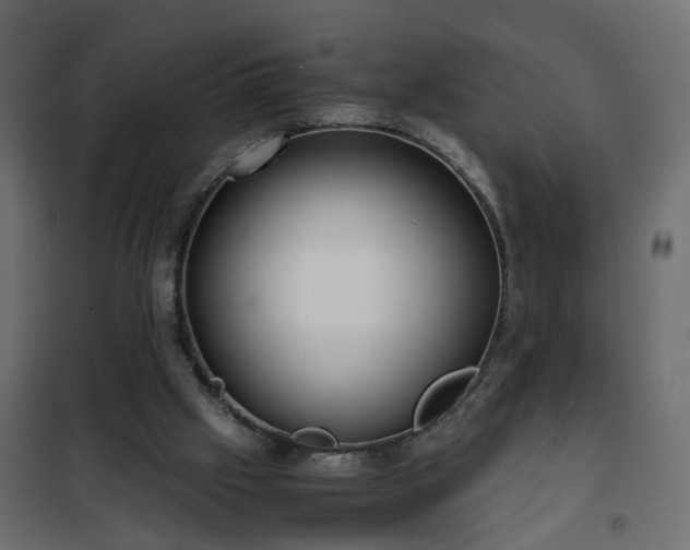 X0000102340057200808081141