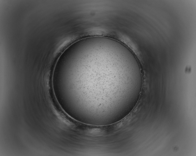 X0000102340058200808081141