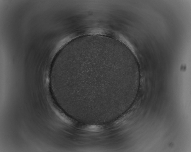 X0000102340059200808081141