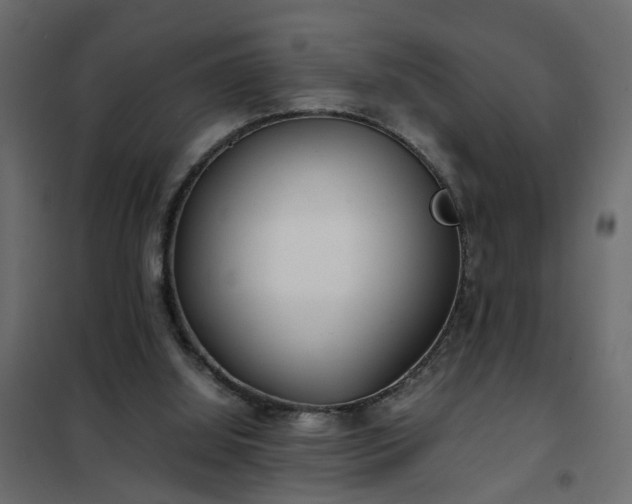 X0000102340060200808081141