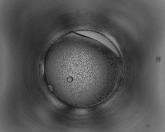 X0000102340061200808081141