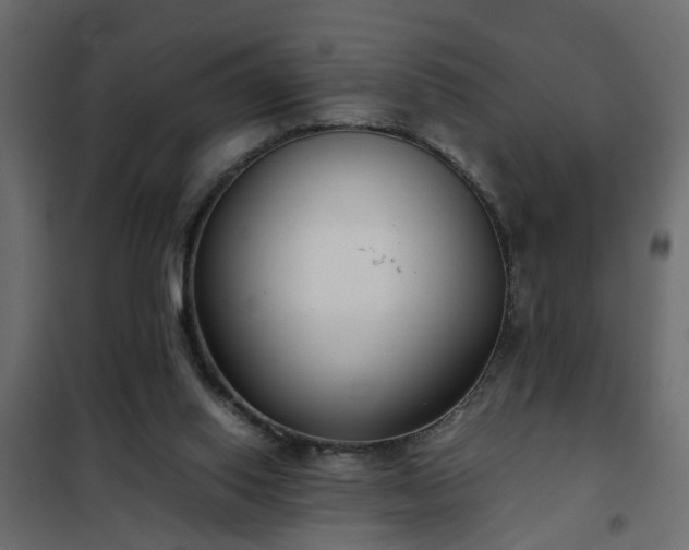 X0000102340062200808081141