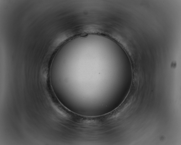 X0000102340063200808081141