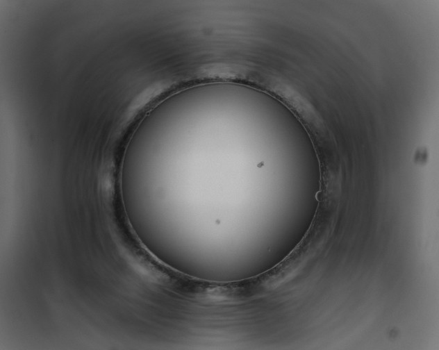 X0000102340064200808081141