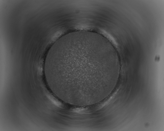 X0000102340065200808081141