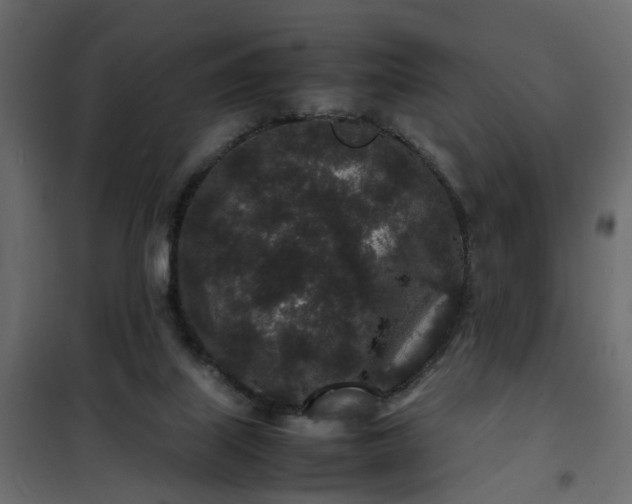 X0000102340067200808081141