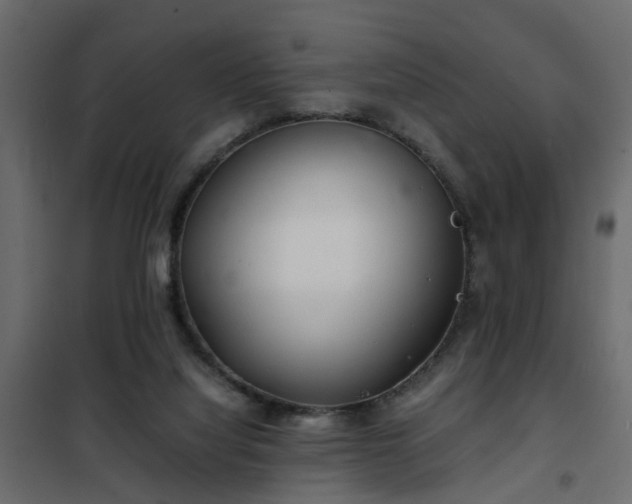 X0000102340068200808081141