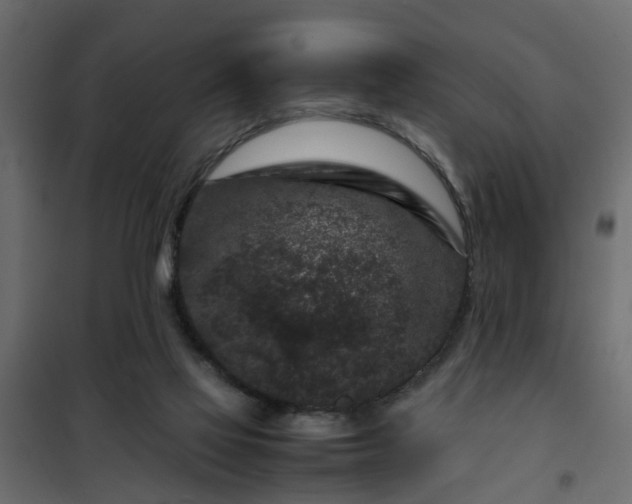 X0000102340069200808081141