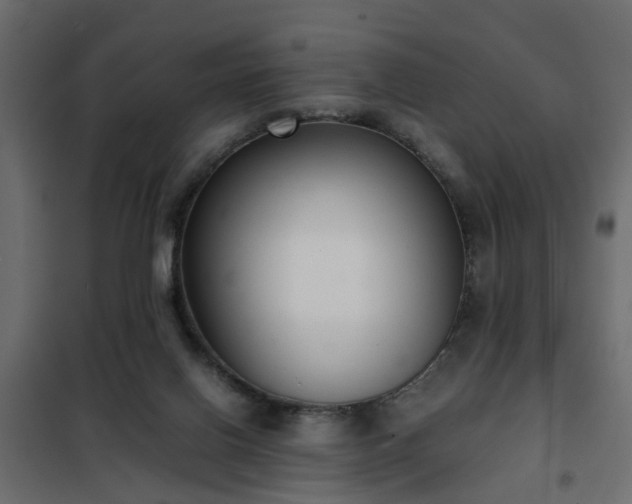 X0000102340070200808081141