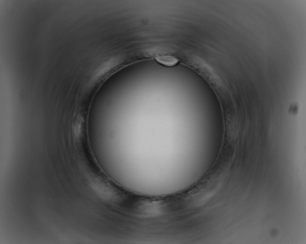 X0000102340071200808081141