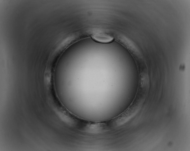 X0000102340072200808081141