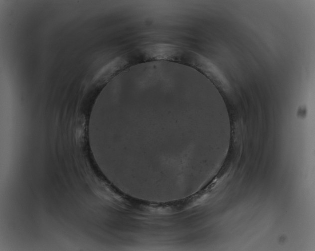 X0000102340073200808081141