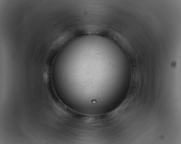 X0000102340074200808081141