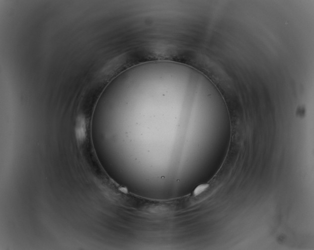 X0000102340075200808081141