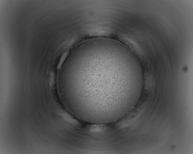 X0000102340077200808081141