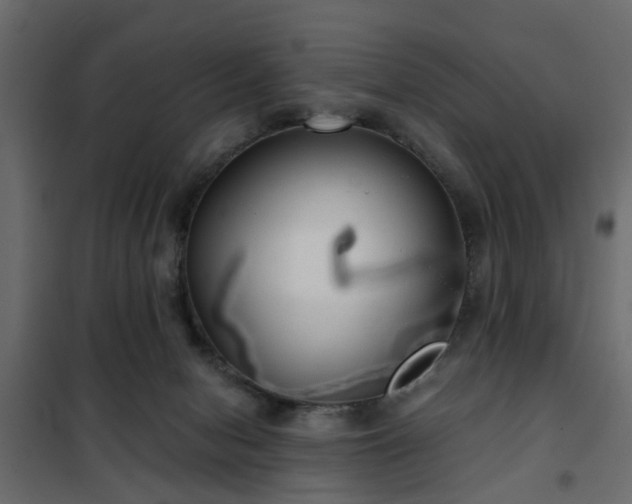 X0000102340078200808081141