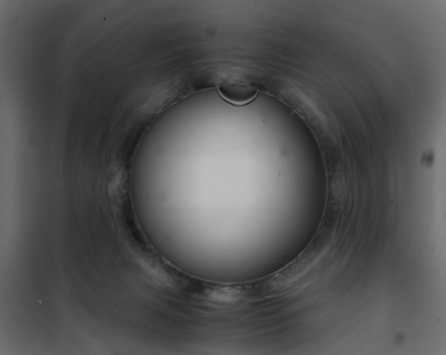 X0000102340079200808081141