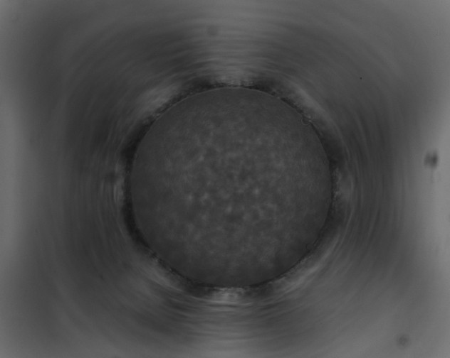 X0000102340080200808081141