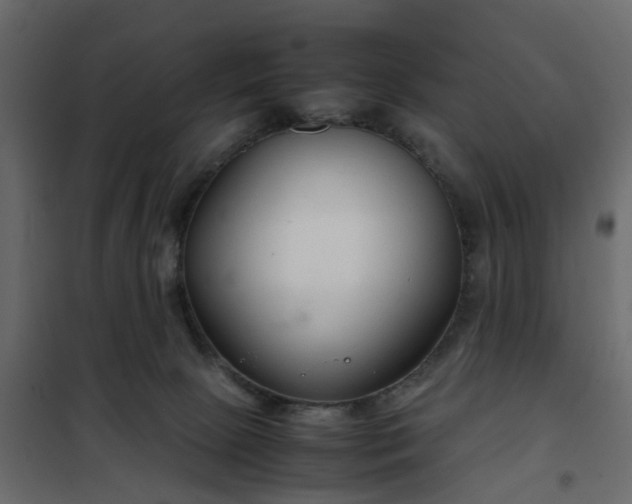 X0000102340081200808081141