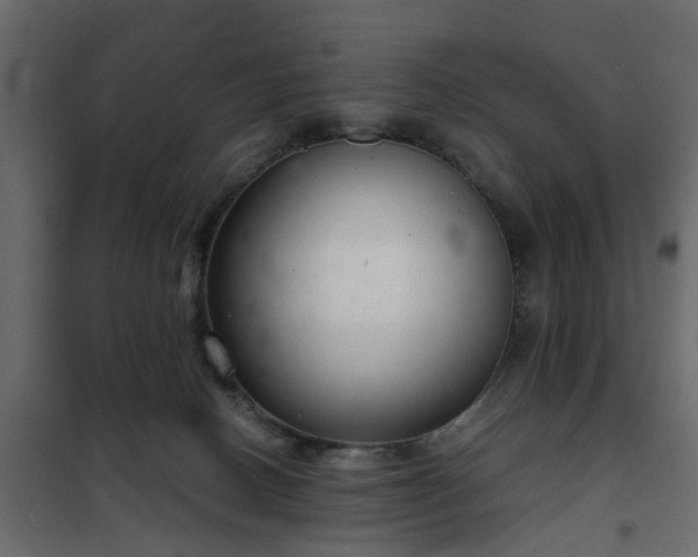 X0000102340082200808081141