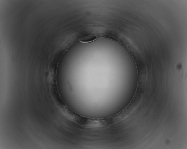 X0000102340083200808081141