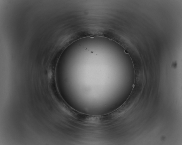 X0000102340084200808081141